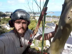 Sylvain Veux arboriste grimpeur